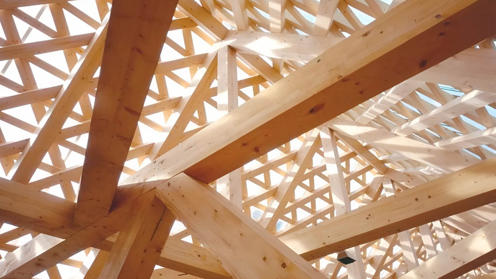 Дерево, которое не боится: разрушаем мифы о ненадежности