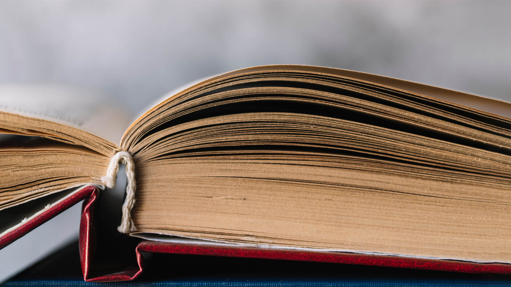 Книга о дизайне и искусстве: есть ли разница и где она проявляется