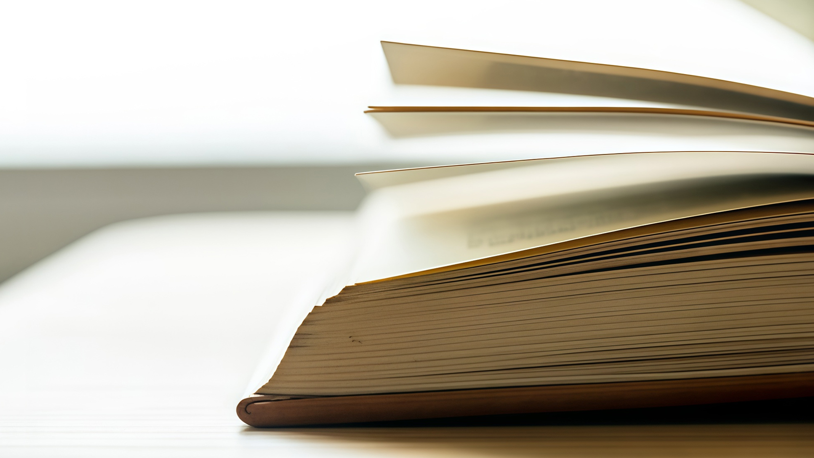 Книга о городе как сцене: «Краткая история нижегородского уличного искусства»