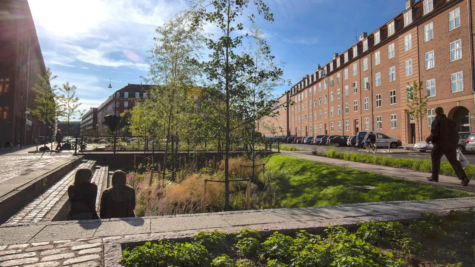 Природная «губка» вместо труб: ландшафт как система управления ливнями и паводками