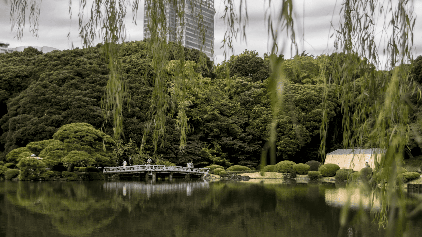 Инклюзивный парк как пространство восстановления: как дизайн городской среды помогает бороться с усталостью и депрессией?